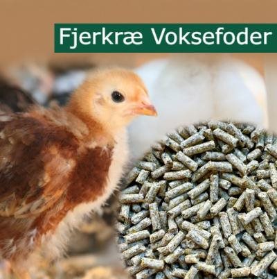 Nag Fjerkræ Voksefoder 20 kg