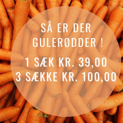 Gulerødder 14 kg - TILBUD 3 SÆKKE 