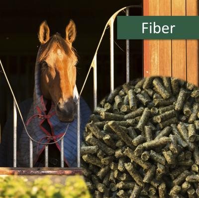HorsePro Fiber 25 kg