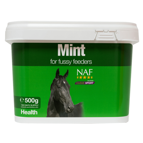 NAF Mint 500 gram